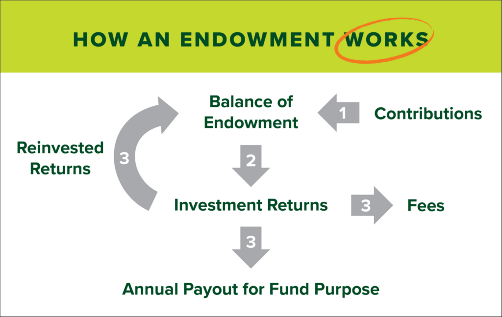 Endowment graphic showing how contributions turn into reinvested returns and payouts