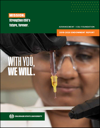 Cover image of 2020 endowment report