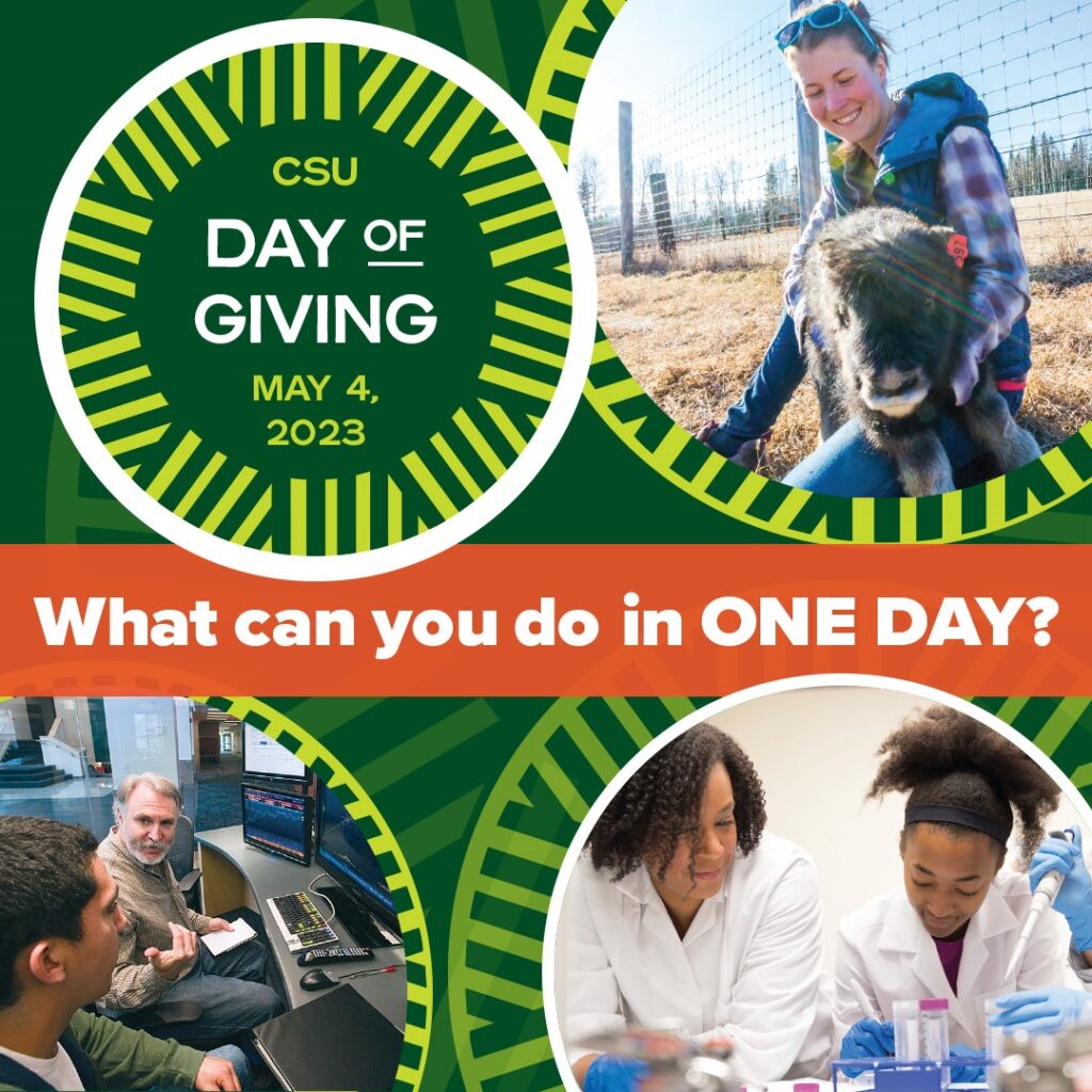 Day of Giving social - Instagram and Facebook