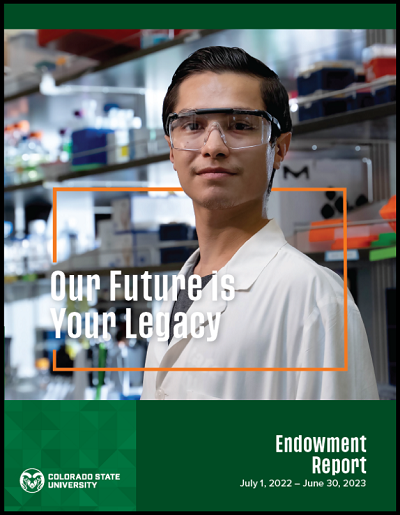 Cover image for 2023 CSU endowment report