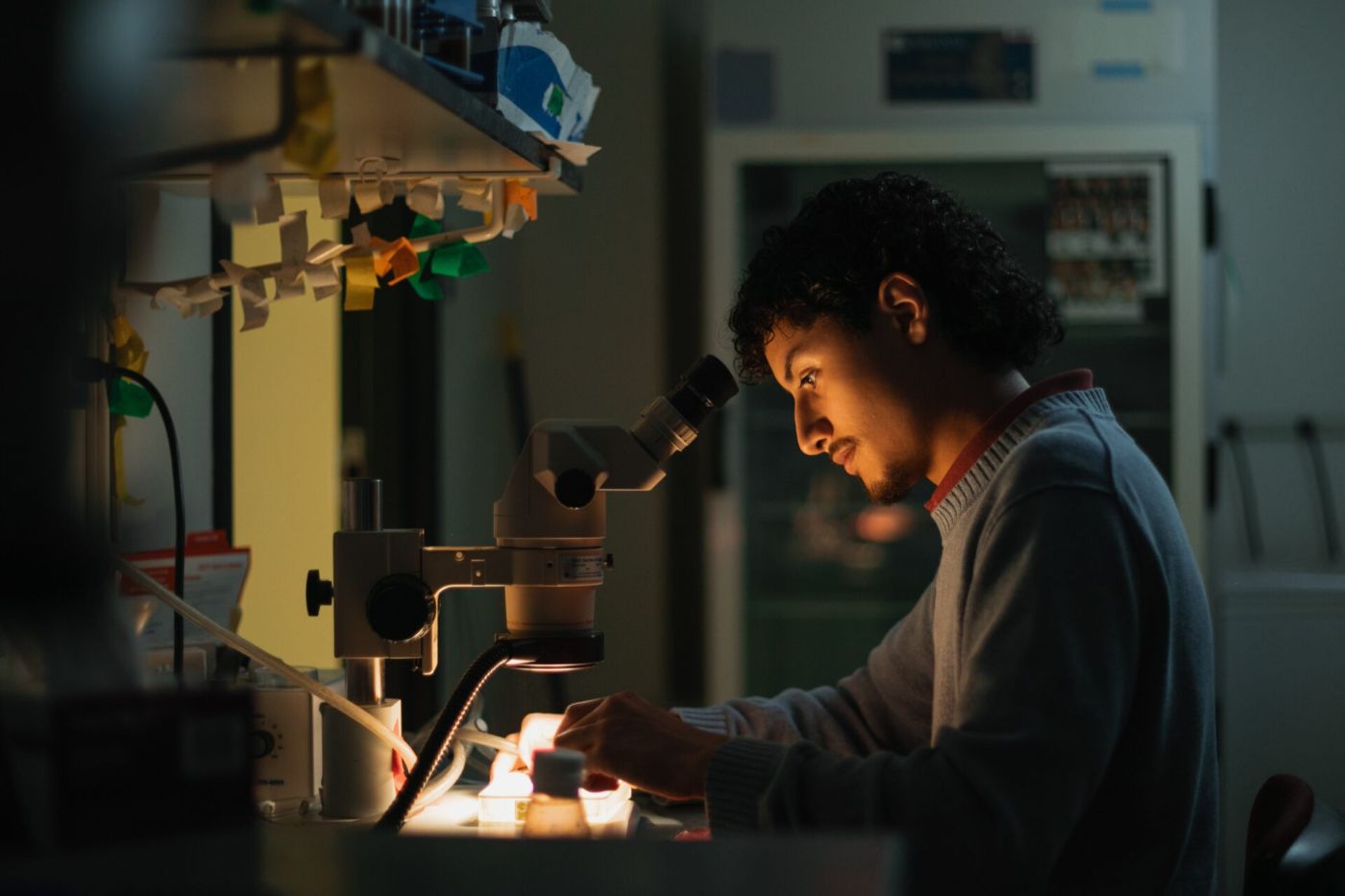 Student looking through microscope